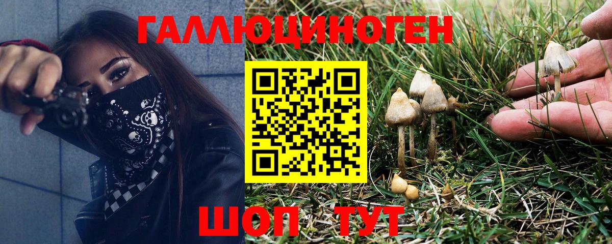 Дзержинский  Галлюциногенные грибы прущие грибы  Псилоцибиновые грибы Psilocybine cubensis  Вход с VPN 